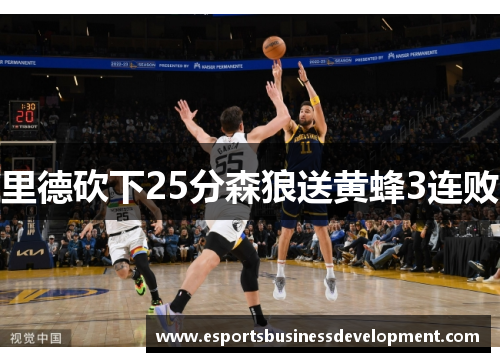 里德砍下25分森狼送黄蜂3连败